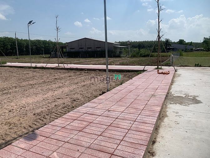 Hình ảnh Đất Gò Dầu Giá Rẻ Dễ Mb6623 phiên bản mới nhất Tiềm Năng