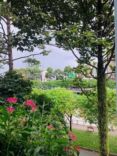 Hình ảnh Cho thuê Trang Chủ MB66.COM / Đăng Ký Tặng 66K Hoàng Sa, Quận 1 - Đa Kao Balcony & Cửa Sổ