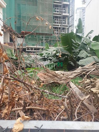 Hình ảnh Vị trí đắc địa! Đất Quận 2, 150m2, Khu Villa, Biệt thự, 29 Tỷ TL
