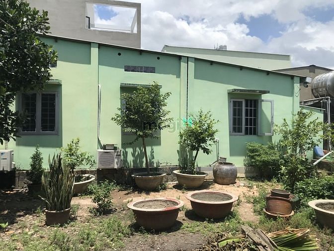 Hình ảnh Bán Nhà HXH Đường 11 Linh Xuân Thủ Đức DT 525m2 giá cực tốt