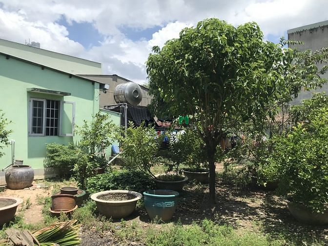 Hình ảnh Bán Nhà HXH Đường 11 Linh Xuân Thủ Đức DT 525m2 giá cực tốt