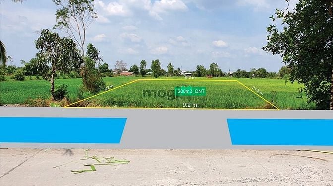 Hình ảnh Đất ngay Trường Đại Học Tân Tạo - Thông ra Ql N2- 10x20m- chỉ 6tr/m2