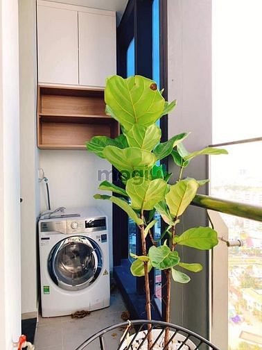 Hình ảnh Cập nhật giỏ hàng cho thuê tháng 6/2023 Vinhomes Golden River giátốt