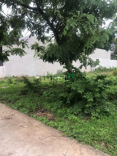 Hình ảnh Bán lô đất giá mềm đẹp 1 sẹc đường Hùng Vương - Nhơn Trạch