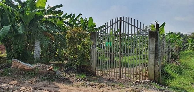 Hình ảnh BÁN ĐẤT GIÁ RẺ 500M2(10m x 50m) CHỈ 12 TỶ- Xuân Thới Sơn, Hóc Môn
