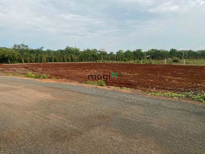 Hình ảnh Đất thổ cư sổ sẵn giá rẻ nhất Bình Phước 168m2 tt 145tr bao công chứng