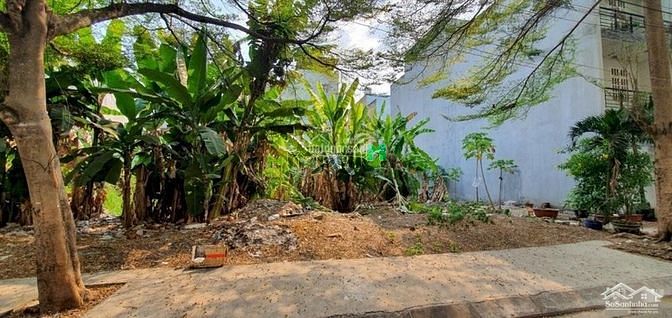 Hình ảnh Chính Chủ Cần Bán Lô Đất Khu Dân Cư Phú Lợi, Quận 8