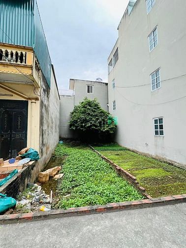Hình ảnh Bán đất Nguyễn Văn Linh, Thạch Bàn, ngõ thông ô tô tránh, 57m2, 3.7 tỷ