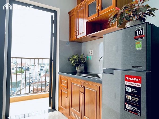 Hình ảnh Cho Thuê Căn Hộ Siêu Thoáng Rộng 30m2 Ngay Mai Chí Thọ