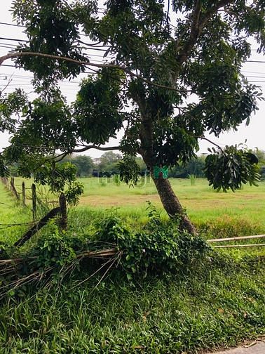 Hình ảnh Cần bán gấp lô đất xã thái mỹ huyện củ chi