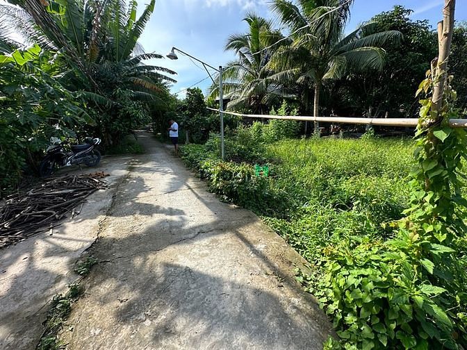 Hình ảnh 1,1 Tỷ nhánh đường Nguyễn Văn Quy,Phú Thứ, Cái Răng, Cần Thơ