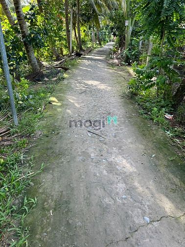 Hình ảnh 1,1 Tỷ nhánh đường Nguyễn Văn Quy,Phú Thứ, Cái Răng, Cần Thơ