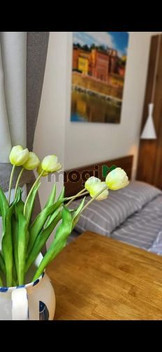 Hình ảnh CH SCREC Tower ra đi cần thanh lí ngay chỉ 2tỷ250, 2PN, 2NVS