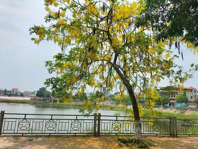 Hình ảnh Bán đất view mặt hồ Ngũ Hiệp - Thanh Trì thoáng mát