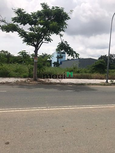 Hình ảnh Còn sót lô đất siêu đẹp ở đường Tạ Quang Bửu-Quận8. 100m2/2tỷ450,SHR.