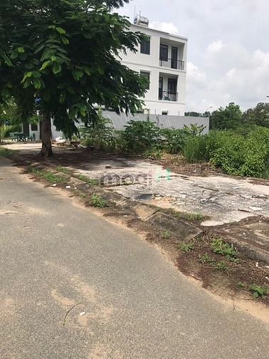 Hình ảnh Còn sót lô đất siêu đẹp ở đường Tạ Quang Bửu-Quận8. 100m2/2tỷ450,SHR.