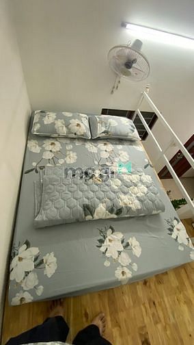 Hình ảnh Cho thuê Căn Hộ ngay CMT8- Công viên Lê Thị Riêng- giáp Quận 10