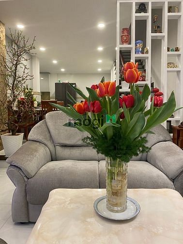 Hình ảnh Cho thuê phòng trọ cao cấp tại trung tâm Q4