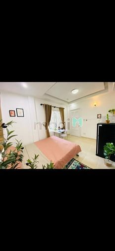 Hình ảnh 1,Tỷ5, Sở hữu ngay CH Terra Royal, 55m2, 2PN, 1Bếp 1NVS