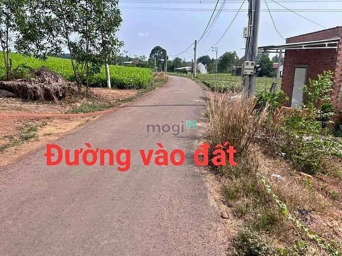 Hình ảnh Hot. Bán Lỗ 1340m2 đất ở Thị Xã, ngay Chợ, sát QL13. Giá 100TR