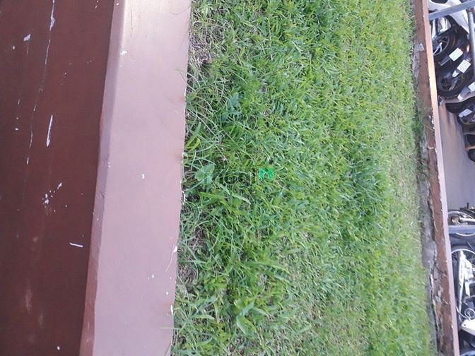 Hình ảnh Cho nữ sinh viên thuê phòng...