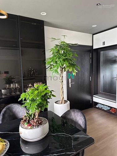 Hình ảnh Cần tiền bán gấp 2PN + 60m2 có sổ hồng 2 tỷ 115