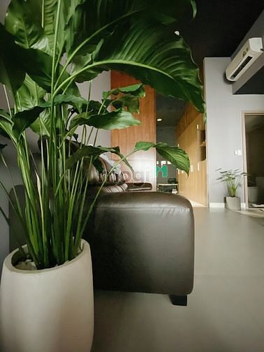 Hình ảnh Trang Chủ MB66.COM / Đăng Ký Tặng 66K 1 phòng ngủ view thoáng lexington quận 2 chỉ 11 triệu