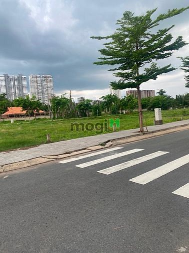 Hình ảnh 84m2 Đất thổ cư hẻm xe hơi 1 sẹc, gần chợ Lê Đình Cẩn, nở hậu 4,6m