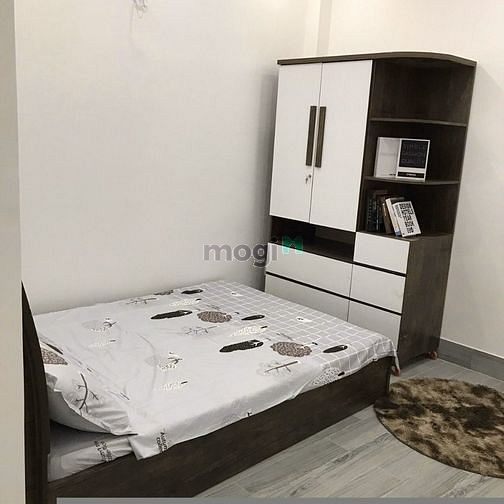 Hình ảnh Trống Sẵn Studio Cửa Sổ Thoáng Zá Hạt Dẻ