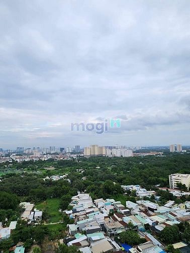 Hình ảnh Topaz Elite ( Phoenix2 ) Mặt tiền cao Lỗ Quận 8 2.655 Tỷ 79m2