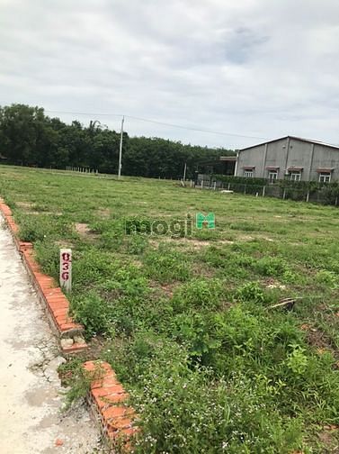 Hình ảnh ĐẤT full thỗ cư cạnh kcn thạnh đức CHỈ 890tr NỀN