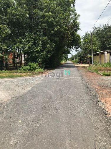 Hình ảnh ĐẤT full thỗ cư cạnh kcn thạnh đức CHỈ 890tr NỀN