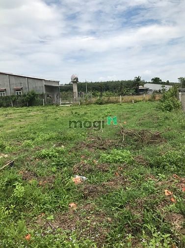 Hình ảnh ĐẤT full thỗ cư cạnh kcn thạnh đức CHỈ 890tr NỀN