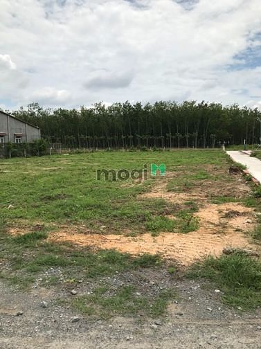 Hình ảnh ĐẤT full thỗ cư cạnh kcn thạnh đức CHỈ 890tr NỀN