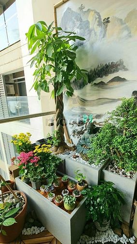 Hình ảnh Cần bán Trang Chủ MB66.COM / Đăng Ký Tặng 66K Gold View 92m2 2pn2wc view hồ bơi
