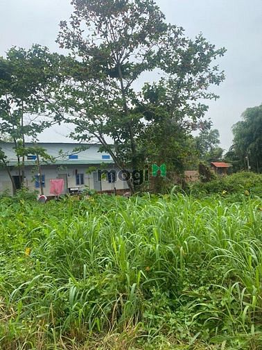 Hình ảnh BDS HVL [NC]  819m2 có 452m2 thổ Bình Trưng Đông Q2 chỉ 22 tỉ 21/06/23