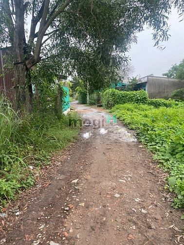 Hình ảnh BDS HVL [NC]  819m2 có 452m2 thổ Bình Trưng Đông Q2 chỉ 22 tỉ 21/06/23