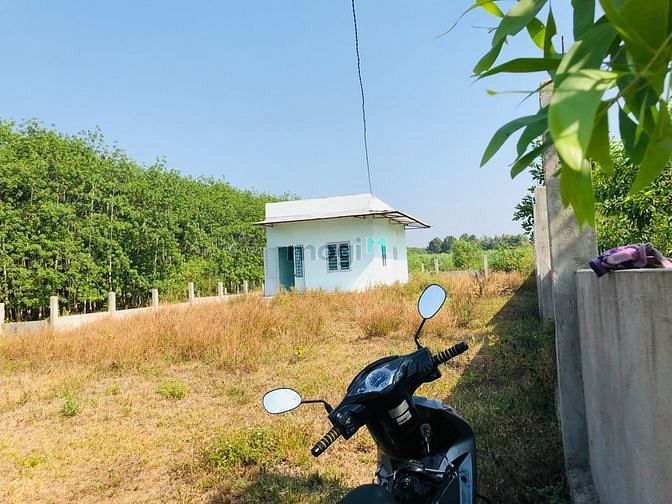 Hình ảnh Đất Vườn sẵn Nhà Cấp 4 Cách Nhựa chỉ 200m SHR