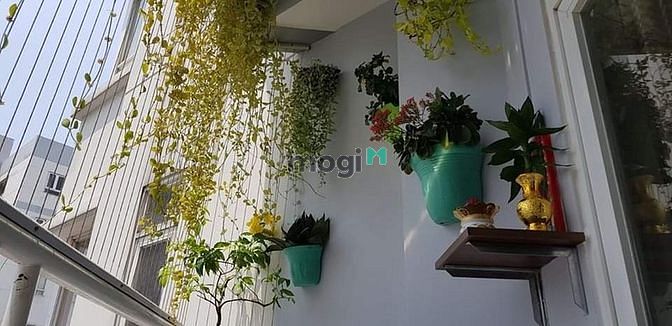 Hình ảnh Công ty phá sản cần bán căn Himlam Chợ Lớn Quận 6 97m2 2.461 tỷ