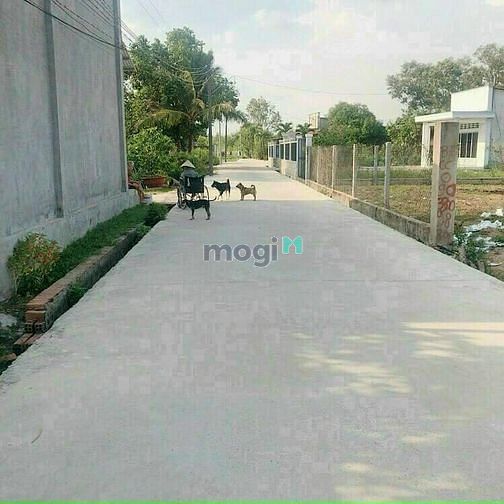 Hình ảnh bán 10 lô đất nhơn trạch gần vành đai 3 cho khách Trang MB66.COM Chính Thức - MB 66 Uy Tín
