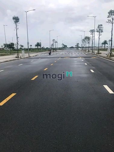 Hình ảnh bán gấp nền cho con đi du học