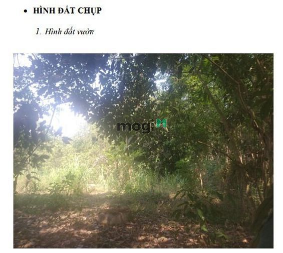 Hình ảnh BÁN ĐẤT THỔ VƯỜN: S=480m2, thổ cư=40m2 (1tỷ6 - chính chủ, Bình Phước )