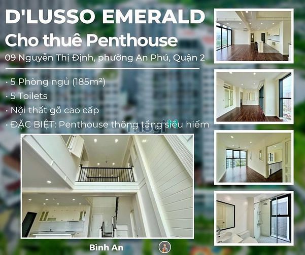 Hình ảnh Cho Thuê Penthouse Nội Thất Gỗ Cao Cấp Duy Nhất Tại Quận 2 Chỉ 35TR