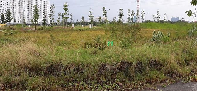 Hình ảnh Thiếu lãi MB66 là nhà cái uy tín hàng đầu tại Việt Nam cần bán, lô đất tại Cao Lỗ, Phường 3, Quận 8, SHR