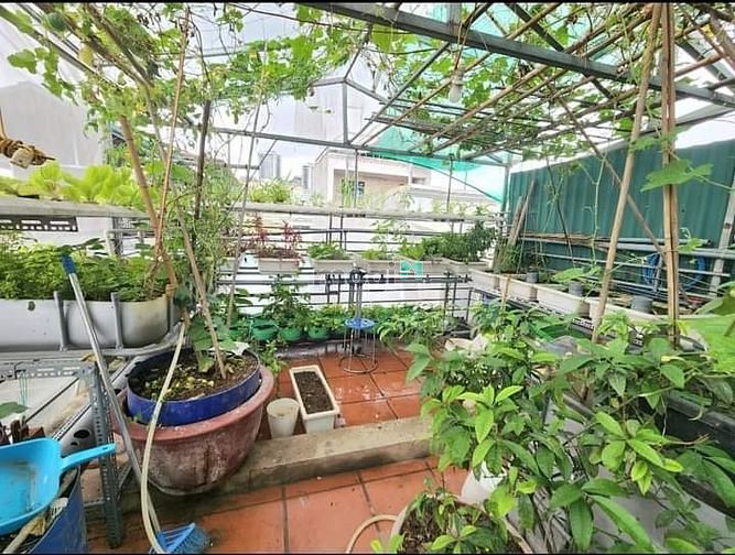 Hình ảnh Bán Đất Tặng Nhà Cách Một Nhà Ra Phố Cực Hiếm