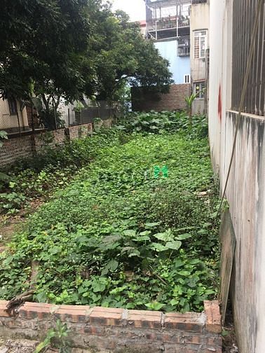 Hình ảnh Bán đất Cổ Linh Thạch Bàn ngay ngã tư Thạch Bàn Cổ Linh 156m MT 5m