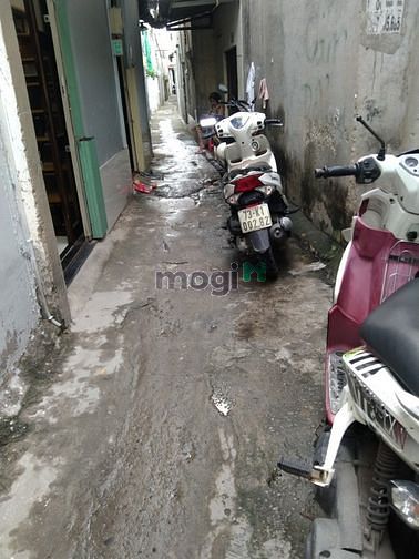 Hình ảnh Cho Thuê NNC Giá Rẻ Gần Đỗ Xuân Hợp