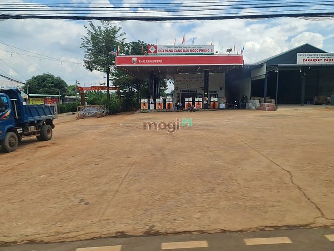 Hình ảnh Đất Nghỉ Dưỡng sổ sẵn giá Trang MB66.COM Chính Thức - MB 66 Uy Tín cực tốt!