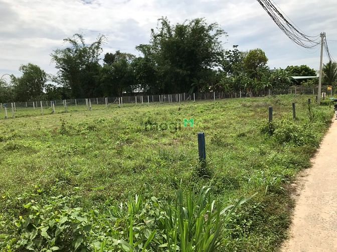 Hình ảnh đất full thổ cư gần kcn hiệp thạnh giá chỉ 790tr/1 nền