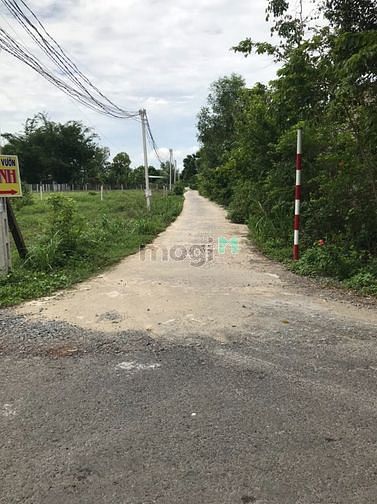 Hình ảnh đất full thổ cư gần kcn hiệp thạnh giá chỉ 790tr/1 nền
